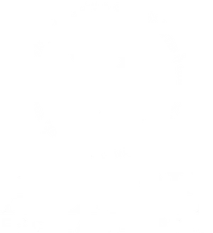 Escola de Artes Aleph